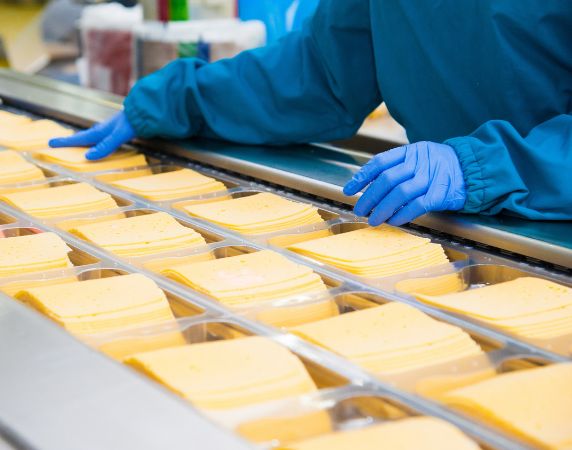 Food Processing Industry